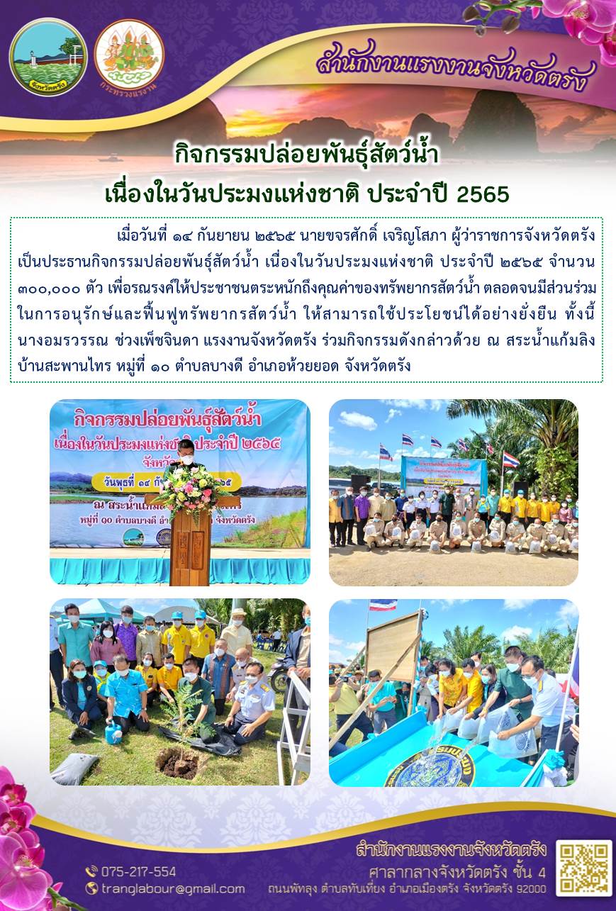 Mol-Thailand